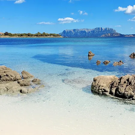 Sea 3* Όλμπια